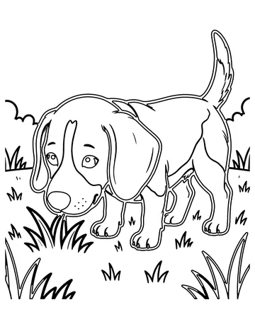 Beagle coloring page