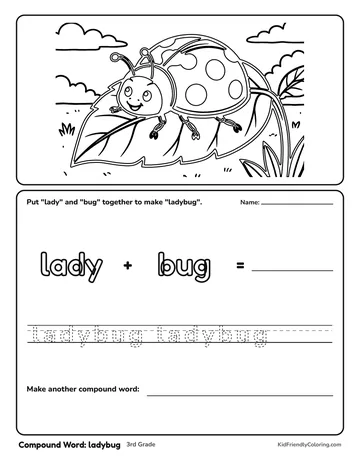 Compound Word: ladybug coloring page