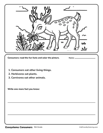 Ecosystems: Consumers coloring page