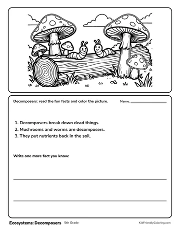 Ecosystems: Decomposers coloring page