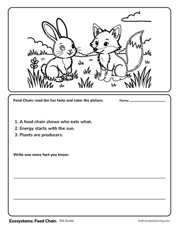 Ecosystems: Food Chain coloring page