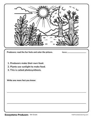 Ecosystems: Producers coloring page