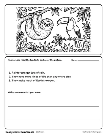 Ecosystems: Rainforests coloring page