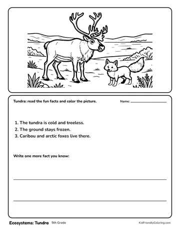 Ecosystems: Tundra coloring page