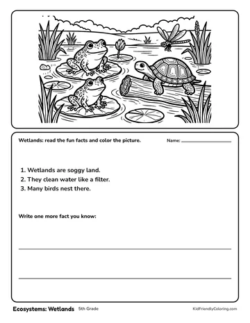 Ecosystems: Wetlands coloring page