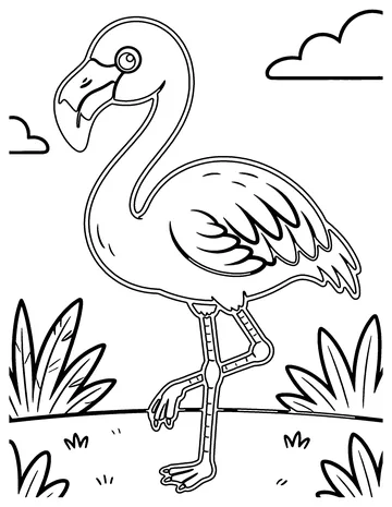 Flamingo coloring page