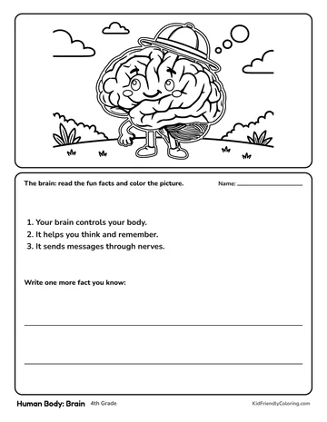 Human Body: Brain coloring page