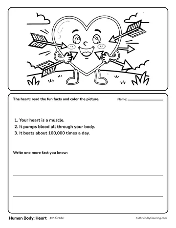 Human Body: Heart coloring page