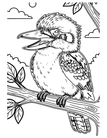 Kookaburra coloring page