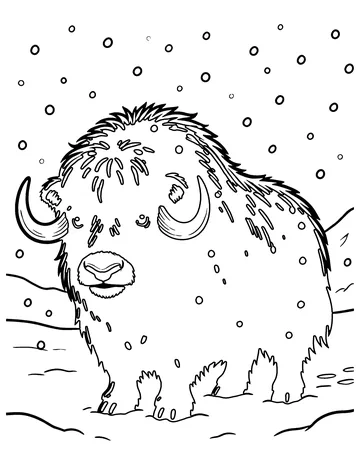 Musk Ox coloring page