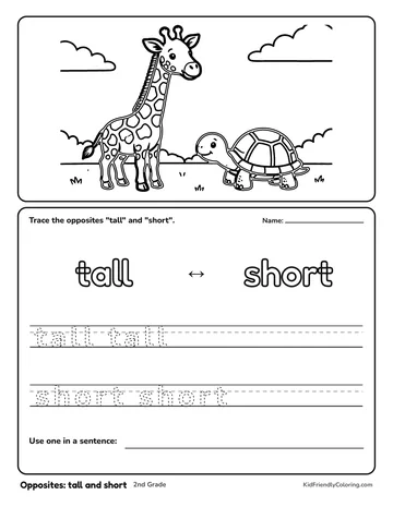 Opposites: tall and short coloring page