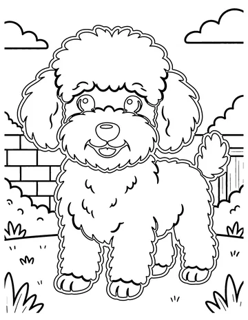 Poodle coloring page