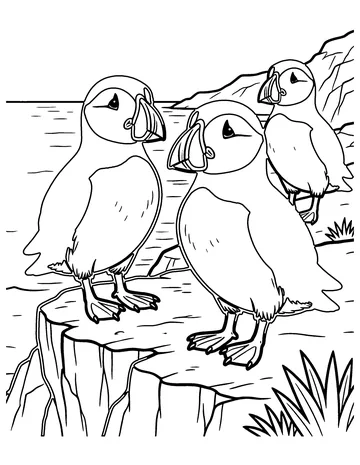 Puffins coloring page