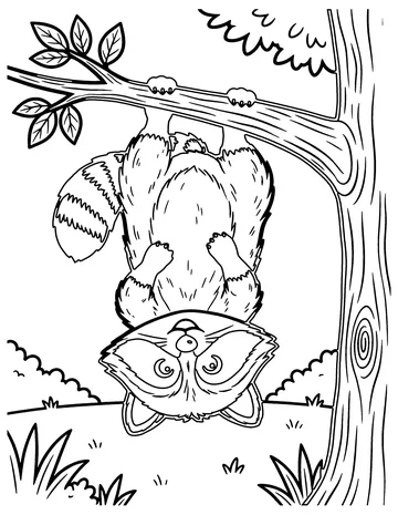 Raccoon Upside Down coloring page