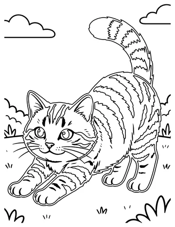 Tabby Cat coloring page
