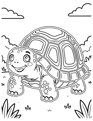 Tortoise coloring page