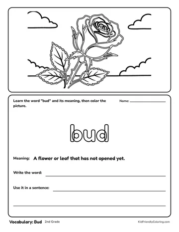 Vocabulary: Bud coloring page