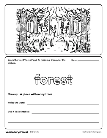 Vocabulary: Forest coloring page