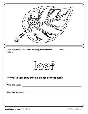 Vocabulary: Leaf coloring page