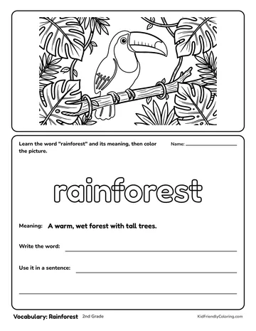 Vocabulary: Rainforest coloring page