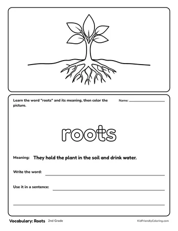 Vocabulary: Roots coloring page