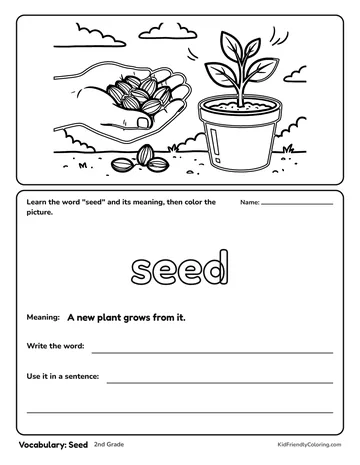 Vocabulary: Seed coloring page