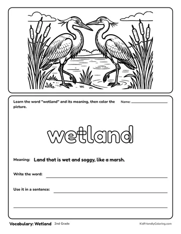 Vocabulary: Wetland coloring page